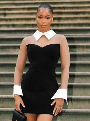 Sheer Mesh Polo Collar Party Dress